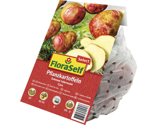FloraSelf Pflanzkartoffeln Cara im perforierten Beutel