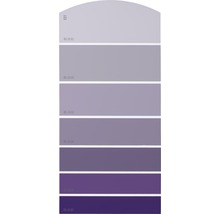 Farbmusterkarte mit verschiedenen Violetttönen für die Wandgestaltung