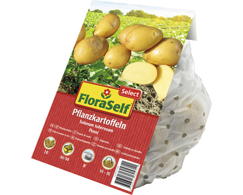 FloraSelf Pflanzkartoffeln Sorte Penni in perforierter Verpackung