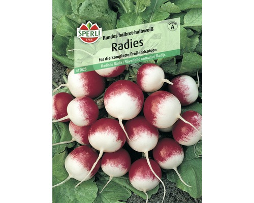 Radieschen 'Rundes rot-weiß' Sperli Gemüsesamen