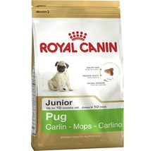 Royal Canin Junior Trockenfutter für Mops Welpen bis zu 10 Monaten