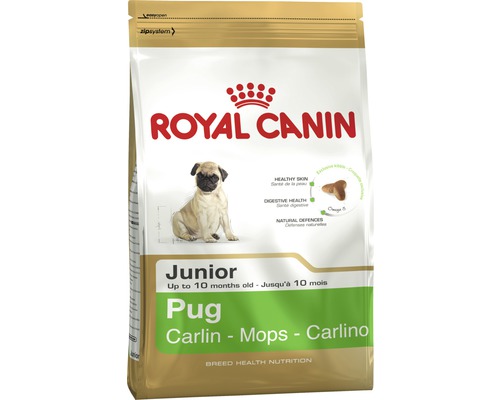 Royal Canin Junior Trockenfutter für Mops Welpen bis zu 10 Monaten