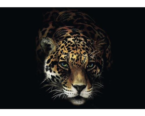 Fototapete Vlies 10148V4 Jaguar 2-tlg. 254 x 184 cm