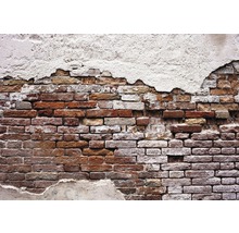 Fototapete Vlies 10182V4 Alte Rote Mauer 2-tlg. 254 x 184 cm