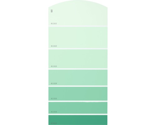 Farbmusterkarte Farbtonkarte G02 Farbwelt grün 21x10 cm