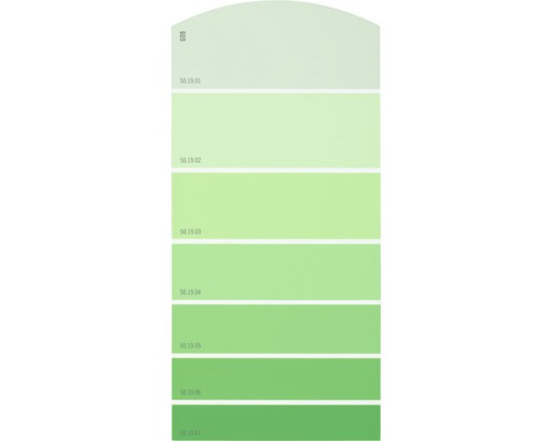 Farbmusterkarte Farbtonkarte G09 Farbwelt grün 21x10 cm