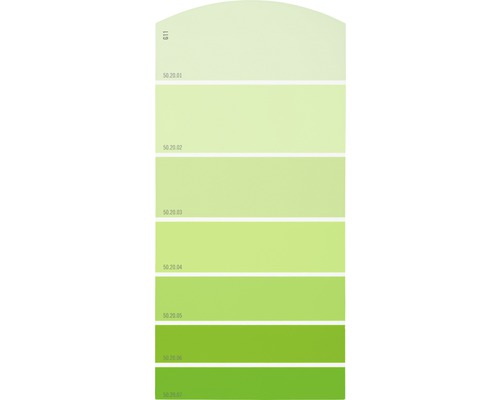 Farbmusterkarte Farbtonkarte G11 Farbwelt grün 21x10 cm