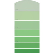 Farbfächer mit Grüntönen zur Farbauswahl
