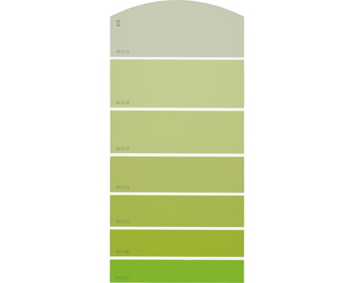 Farbmusterkarte Farbtonkarte G18 Farbwelt grün 21x10 cm