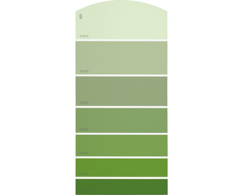 Farbmusterkarte Farbtonkarte G23 Farbwelt grün 21x10 cm