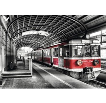 Ein roter Zug steht am Bahnsteig unter einem gewölbten Dach.