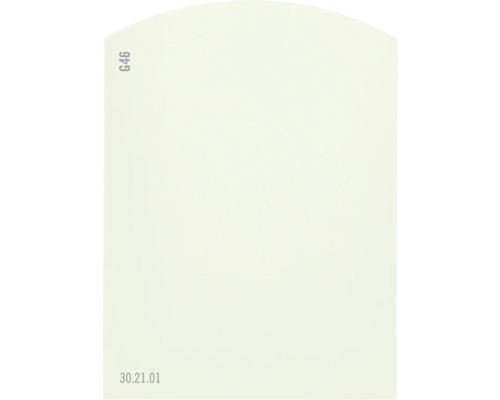 Farbmusterkarte Farbtonkarte G46 Off-White Farbwelt grün 9,5x7 cm