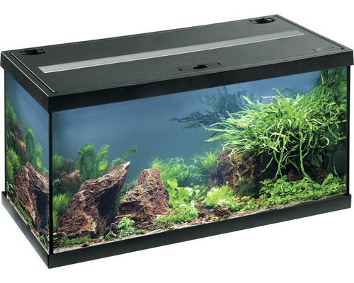 Aquarium Set EHEIM aquastar 54 mit LED-Beleuchtung, Innenfilter, Heizer, Thermometer ohne Unterschrank schwarz, ca. 54 L, 60 x 30 x 30 cm