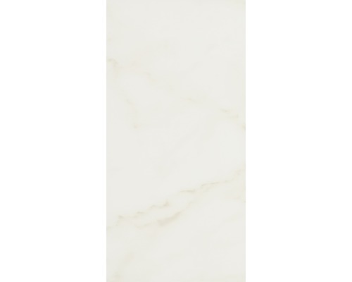 Steingut Wandfliese Carrara weiß 30 x 60 cm glänzend