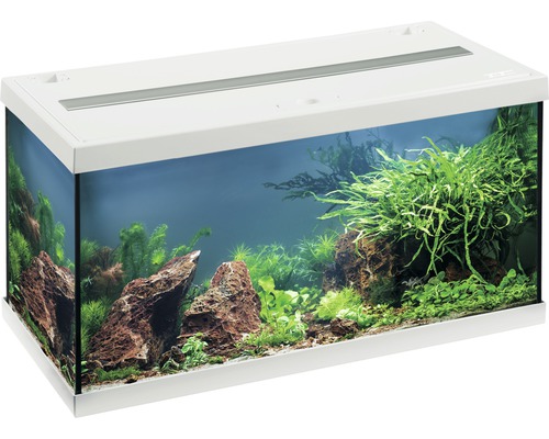 Aquarium Set EHEIM aquastar 54 mit LED-Beleuchtung, Innenfilter, Heizer, Thermometer ohne Unterschrank weiß, ca. 54 L, 60 x 30 x 30 cm