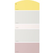 Farbmusterkarte Farbtonkarte J06 Farben für Körper, Geist & Seele - wohltuend & heilend 21x10 cm