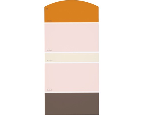Farbmusterkarte Farbtonkarte J17 Farben für Körper, Geist & Seele - anregend & aufbauend 21x10 cm