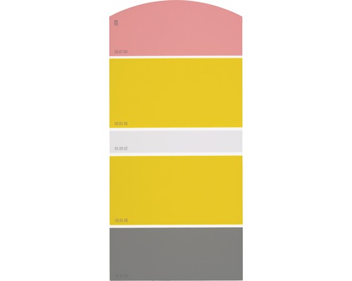 Farbmusterkarte Farbtonkarte J20 Farben für Körper, Geist & Seele - stimmungsvoll & aktivierend 21x10 cm