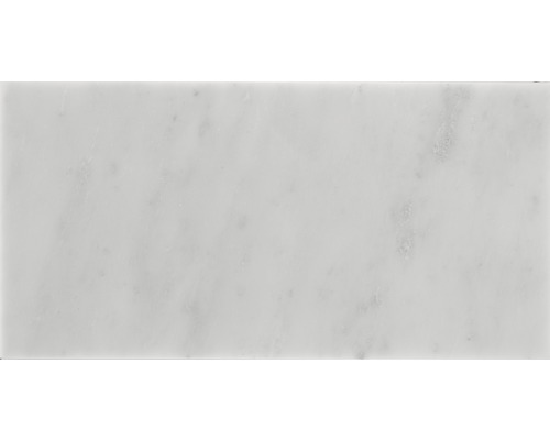 Naturstein Wand- und Bodenfliese Oriental white Marmor 30,5 x 61 cm