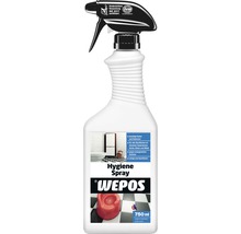 Wepos Hygiene Spray, 750 ml Flasche
