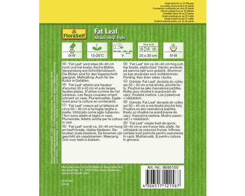 Verpackung Fat Leaf Allium zur Aussaat