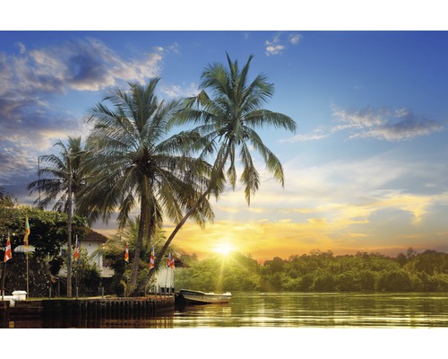 Fototapete Vlies 211031 Tropical Palms Sunrise 8-tlg. 400 x 260 cm