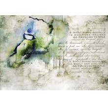 Aquarellmalerei einer Blaumeise auf einem Ast mit Schriftzügen im Hintergrund