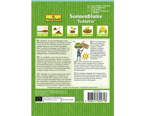 Sonnenblume ''Teddybär'' Samenpackung