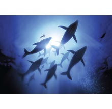 Illustration einer Gruppe von Walen und eines Tauchers im Meer