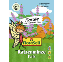 Kräutersamen FloraSelf Floralie-Gärtnern mit Kids Katzenminze 'Felix'-thumb-0