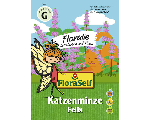 Kräutersamen FloraSelf Floralie-Gärtnern mit Kids Katzenminze 'Felix'-0
