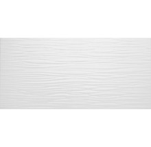 Steingut Wandfliese Nora 25 x 50 x 0,8 cm weiß glänzend