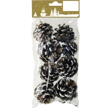 Verpackung mit Tannenzapfen zur Dekoration