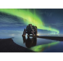 Felseninsel Hvítserkur in Island unter dem Polarlicht