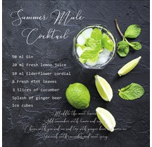 Cocktailrezept Sommer Mule mit Gin, Zitronensaft, Holunderblüten, Minze, Gurke, Ginger Beer und Eiswürfeln