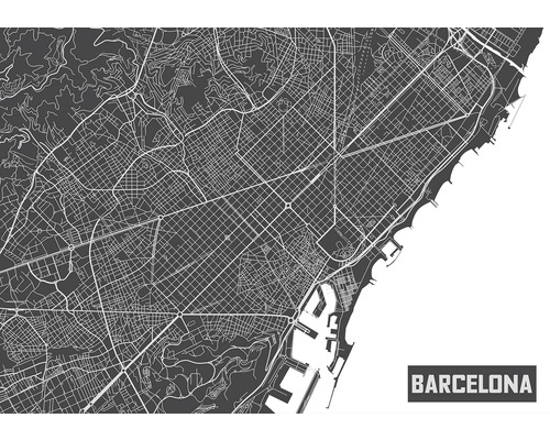 Fototapete Papier 12745P4 Barcelona Karte 2-tlg. 254 x 184 cm