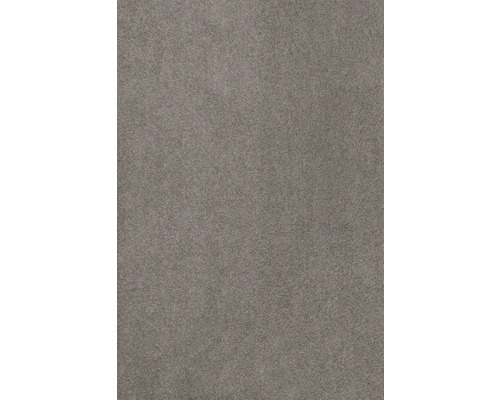 Teppichboden Kräuselvelours Sedna® Proteus 100% Econyl® Garn grau-beige 400 cm breit (Meterware)
