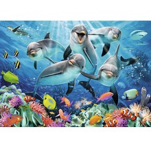 Illustration der Unterwasserwelt mit Delfinen, Fischen und Korallenriff