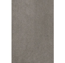 Teppichboden Kräuselvelours Sedna® Proteus 100% Econyl® Garn grau-beige 500 cm breit (Meterware)-thumb-0