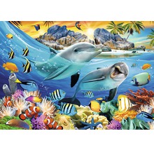 Illustration einer tropischen Unterwasserwelt mit Delfinen, Korallen und Fischen.