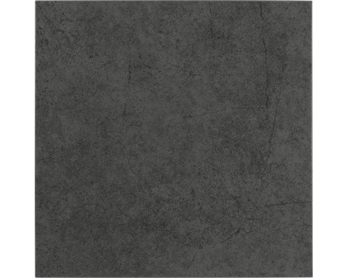 Steinzeug Wand- und Bodenfliese Glimmer schwarz 24,5 x 24,5 cm