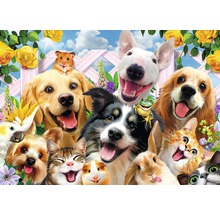 Illustration mit Hunden, Katzen, einem Hamster, einem Kaninchen, einem Meerschweinchen, einem Frosch und einem Kakadu vor einem Zaun mit Rosen