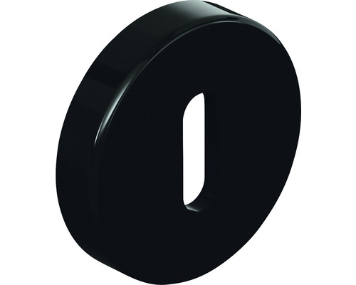Hewi Schlüsselrosette 306.23 F90 BB schwarz hochglanz Ø 55 mm 2 Stück Hewi Schlüsselrosette 306.23 F90 BB schwarz hochglanz Ø 55 mm 2 Stück