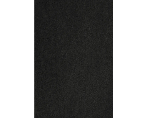 Teppichboden Kräuselvelours Sedna® Proteus 100% Econyl® Garn schwarz 500 cm breit (Meterware)-0