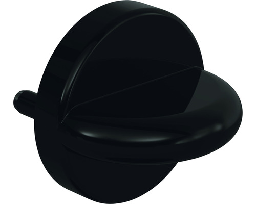 Hewi Schlüsselrosette 306.23NR F90 WC schwarz hochglanz Ø 55 mm 2 Stück Hewi Schlüsselrosette 306.23NR F90 WC schwarz hochglanz Ø 55 mm 2 Stück