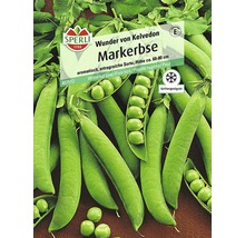 Markerbse 'Wunder von Kelvedon' Gemüsesamen-thumb-0