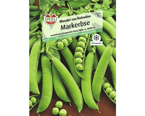 Markerbse 'Wunder von Kelvedon' Gemüsesamen-0
