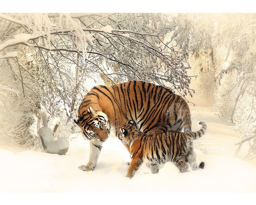 Fototapete Papier 13004P4 Tiger im Schnee 2-tlg. 254 x 184 cm-0