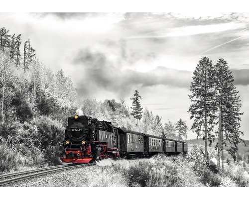 Fototapete Papier 13010P4 Dampflokomotive 2-tlg. 254 x 184 cm
