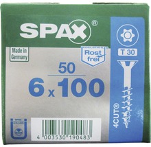 Packung Spax Schrauben, 6x100, Edelstahlausführung